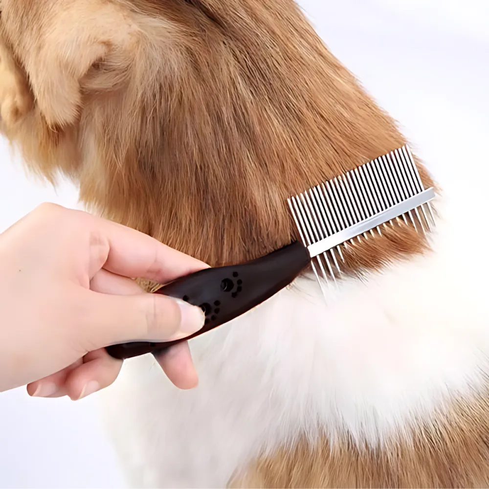 Chullbull Nail Cutter with Filer and Double Sided Comb Grooming Kit for Dogs