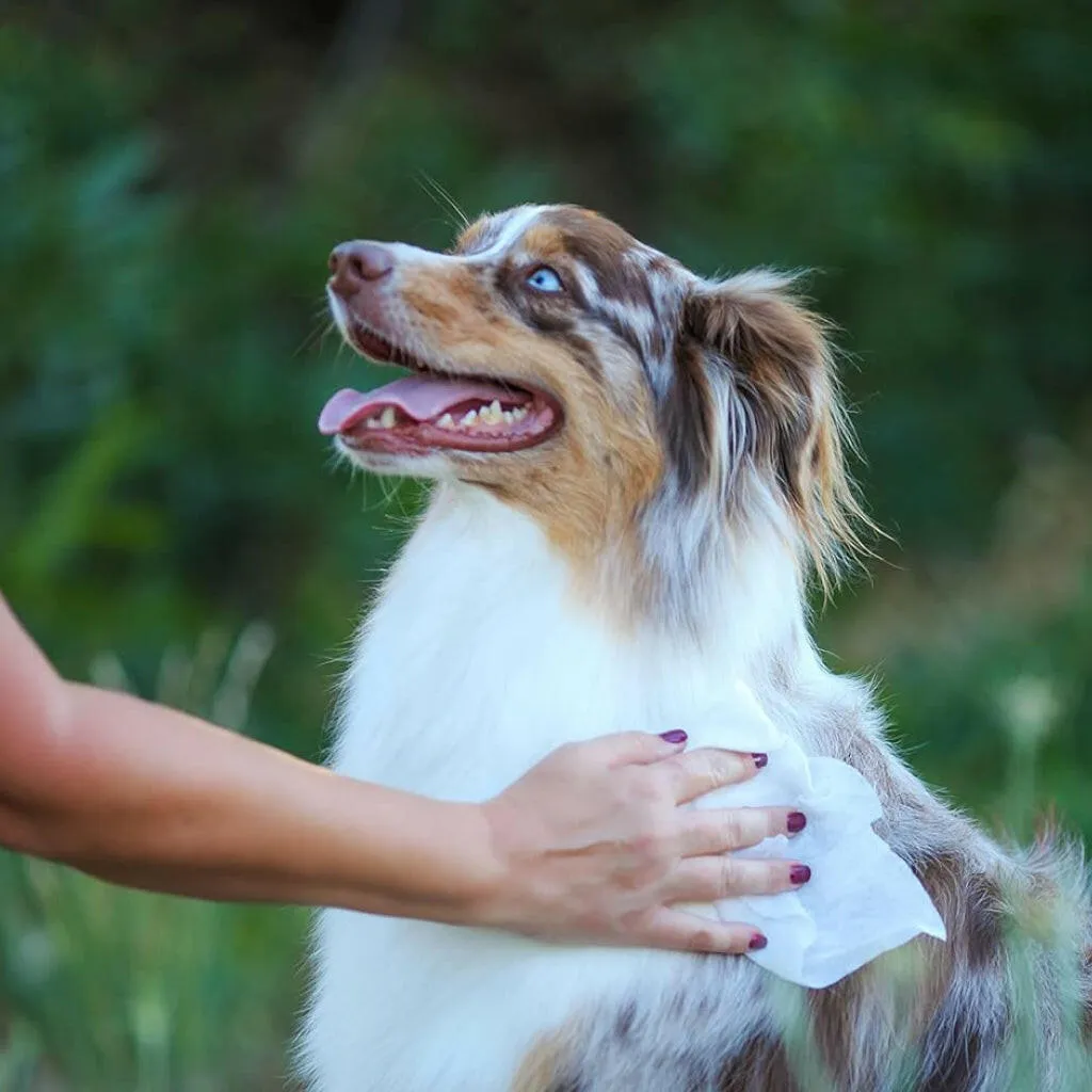 Earthbath Ultra-Mild Wild Cherry Grooming Wipes for Puppies