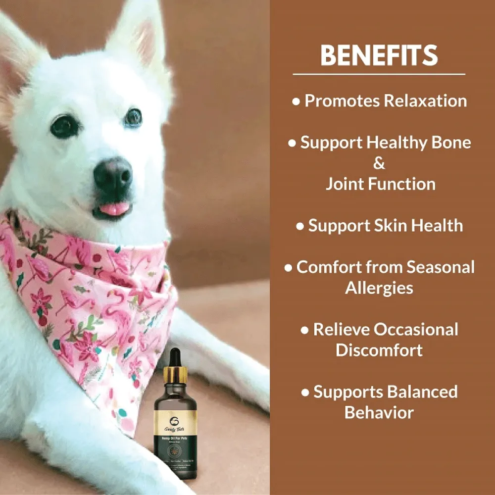 Goofy Tails Hemp Oil for Dogs and Cats