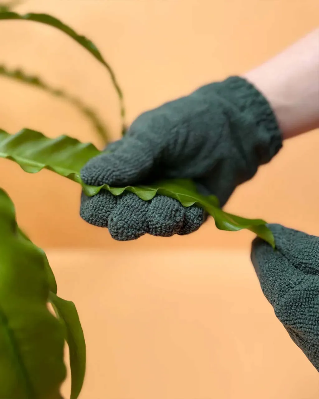 Leaf Cleaning Gloves