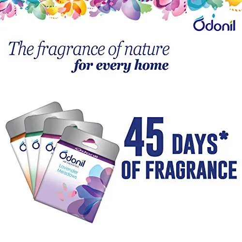 Odonil Air Freshener Blocks - 50 Gm (Pack Of 2)