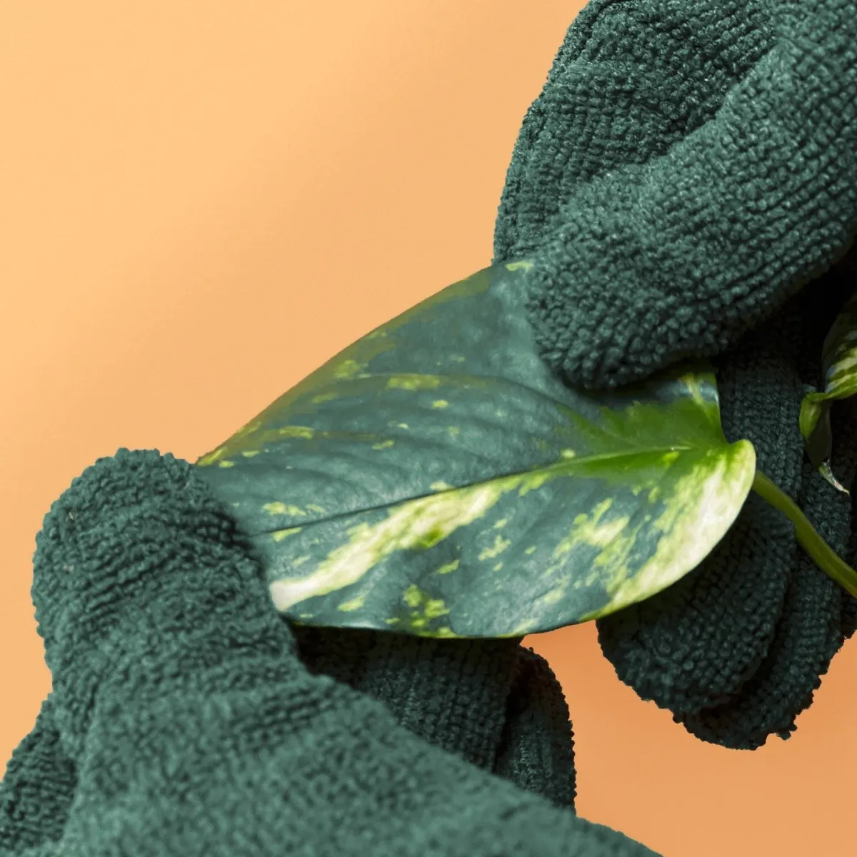 Plant Cleaning Gloves - Reusable Microfiber Leaf Care Gloves