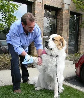 Rub-A-Dog Towel and Mitt Set